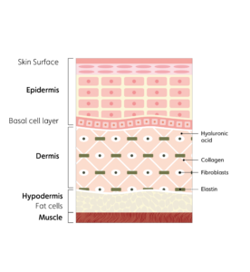 72k-ultra-deep-delivery-illustration-new-0