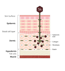 72k-ultra-deep-delivery-illustration-new
