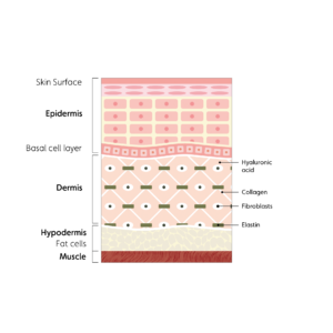 72k-ultra-deep-delivery-illustration-new-sun1